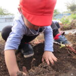 焼きいもだ！！