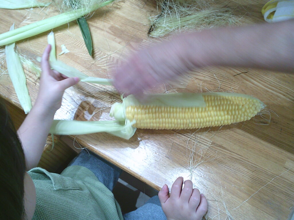 食育「とうもろこし皮むき」