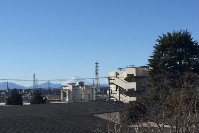 本年もよろしくお願いします。