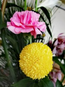 新年のご挨拶とお知らせ（Facebookを始めました）