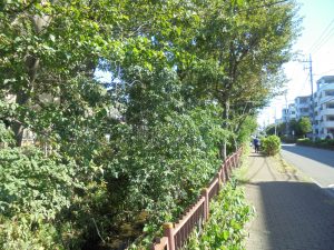 ゴミ拾い　福祉施設　ボランティア　地域