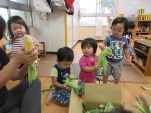 《食育活動》夏ならでは！とうもろこしの皮むき