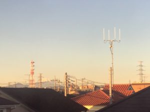 冬の季節の楽しみ（ハトホーム）