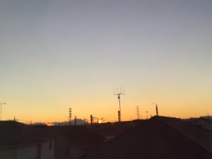 夕暮れ時も…（ハトホーム）