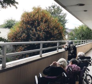 濃厚な香りに誘われて（ハトホーム）