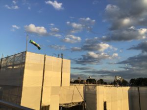 久しぶりの散歩（ハトホーム）