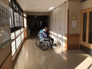 日向ぼっこ（ハトホーム）