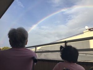 幸せを呼ぶ！？ダブルレインボー（ハトホーム）