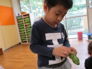 そら豆さん、おきて～！　えだ豆さんも、ムギュ！