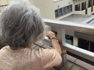 外からの第２ハトホーム見学（ハトホーム）