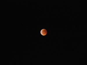 ハトホームでの天体観測（ハトホーム）