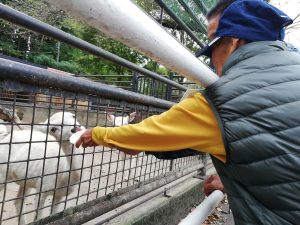 宇都宮動物園　福祉施設　旅行　ボランティア