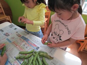 《食育活動》そら豆のさやむき？食べていいの？