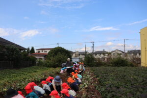 🍂園だより・保健・給食だよりを載せました。