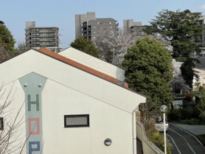 少し寒いお花見（ハトホーム）