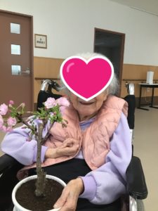 少し早めのお花見（第２ハトホーム）