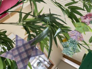 笹の葉さらさら（ハトホーム）