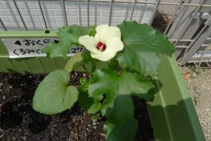 (=^・^=)情報誌見てね