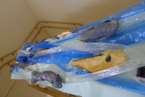 🌕十五夜お月様