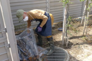 おいシイタケ！できるかな？