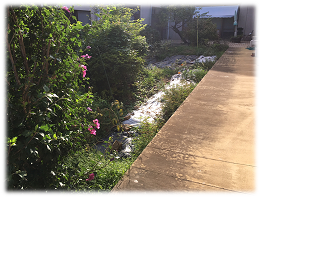 今年もたくさんの野菜が実りました！（みなみ館ハトファーム）